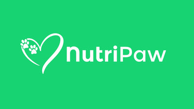 NutriPaw: Creative Outreach